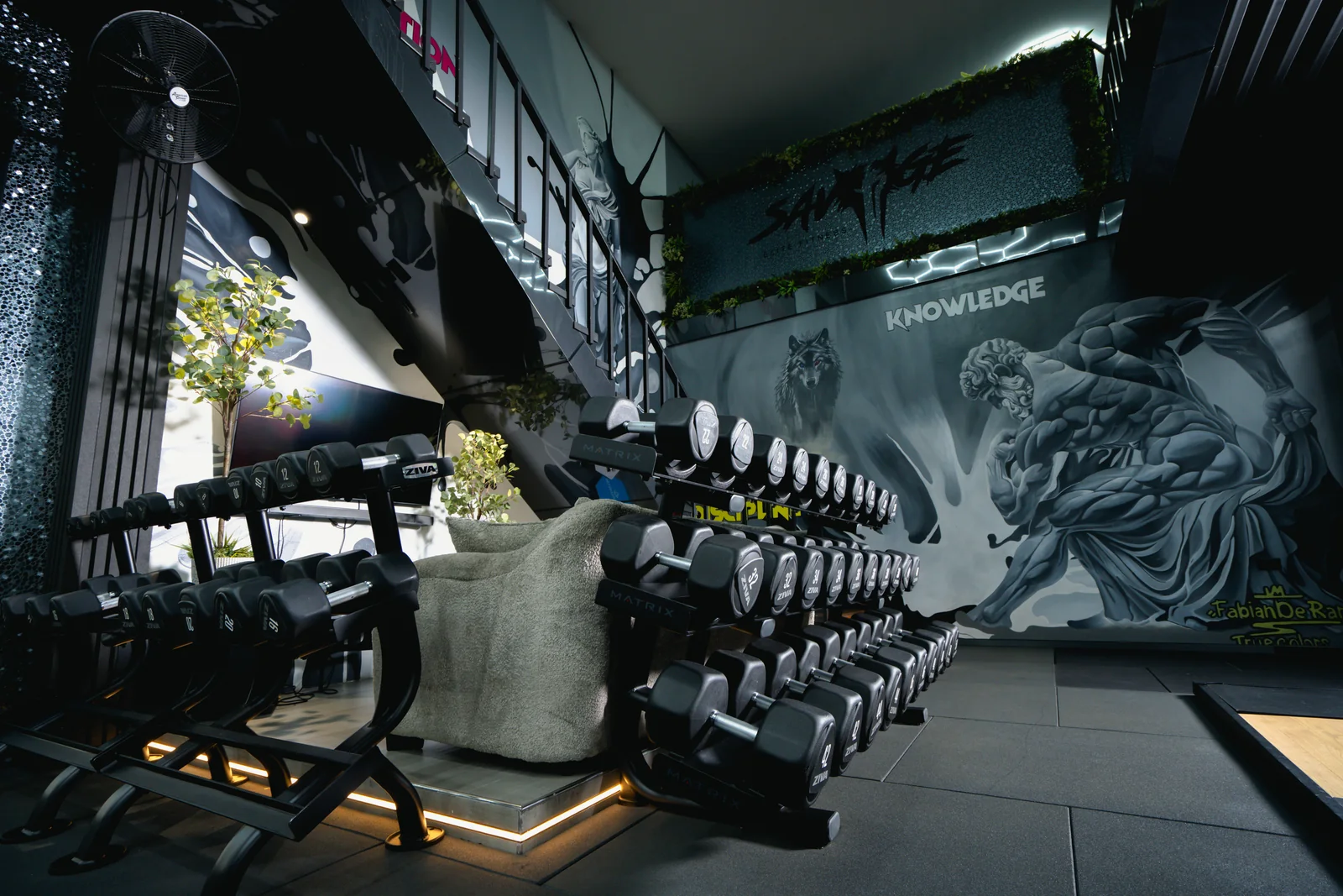 Dumbbell stations beside the Savage mural on the strength floor