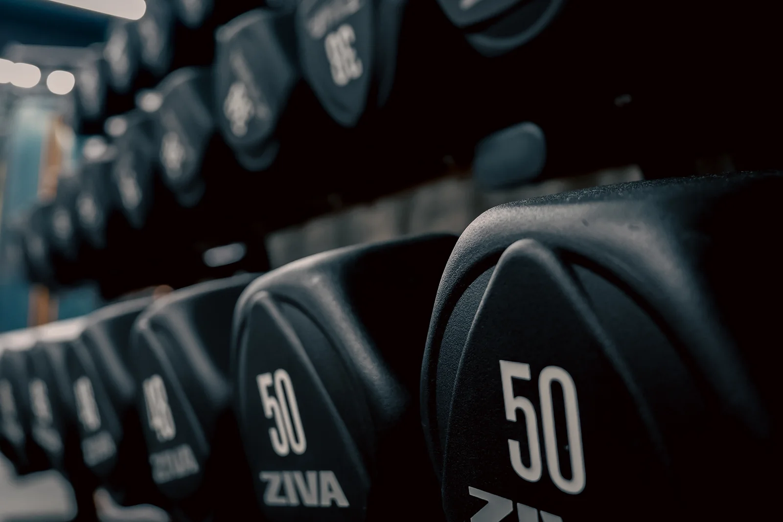 Colour-coded Ziva dumbbells racked on the Savage strength floor